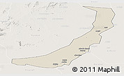 Shaded Relief Panoramic Map of Melut, lighten