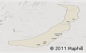 Shaded Relief Panoramic Map of Melut, lighten, semi-desaturated