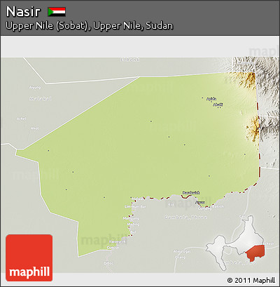 Physical 3D Map of Nasir, lighten, semi-desaturated
