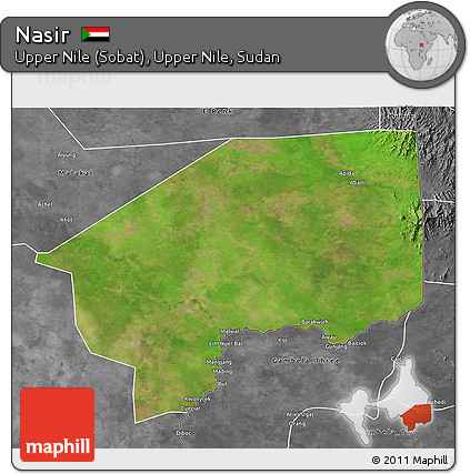Satellite 3D Map of Nasir, desaturated