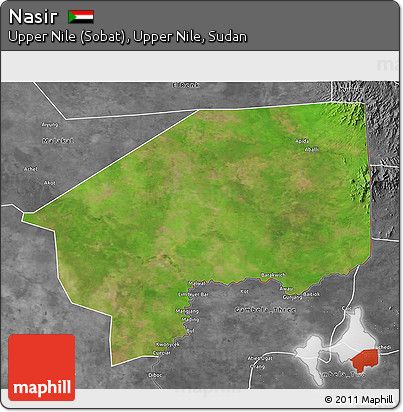 Satellite 3D Map of Nasir, desaturated