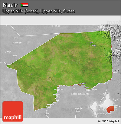 Satellite 3D Map of Nasir, lighten, desaturated