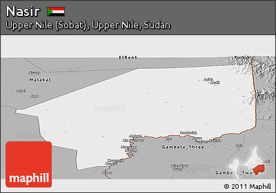 Gray Panoramic Map of Nasir