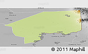 Physical Panoramic Map of Nasir, desaturated