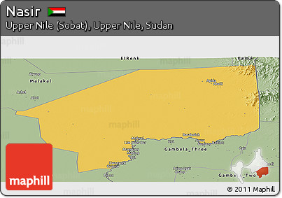 Savanna Style Panoramic Map of Nasir