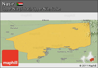 Savanna Style Panoramic Map of Nasir