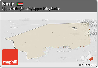 Shaded Relief Panoramic Map of Nasir, lighten, desaturated
