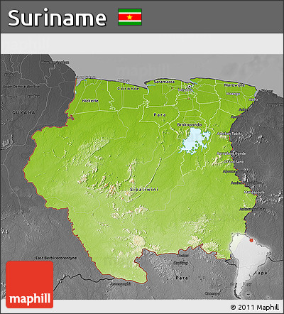 Physical 3D Map of Suriname, darken, desaturated