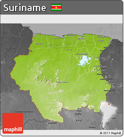 Physical 3D Map of Suriname, darken, desaturated