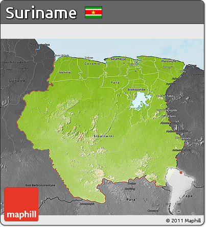 Physical 3D Map of Suriname, darken, desaturated, land only