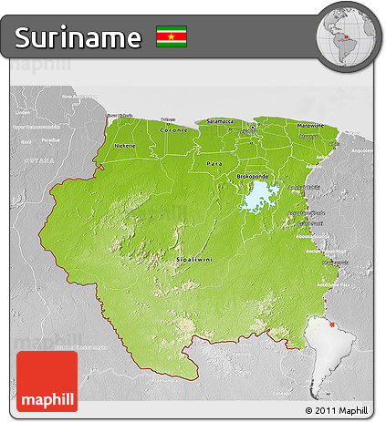 Physical 3D Map of Suriname, lighten, desaturated
