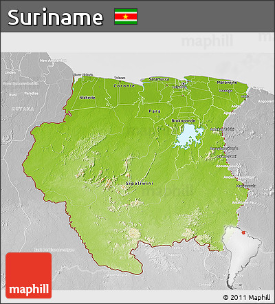Physical 3D Map of Suriname, lighten, desaturated