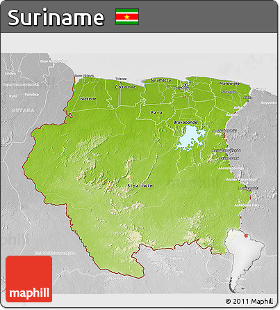 Physical 3D Map of Suriname, lighten, desaturated
