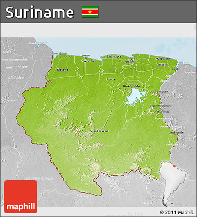 Physical 3D Map of Suriname, lighten, desaturated, land only