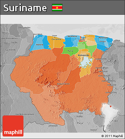 Political 3D Map of Suriname, desaturated