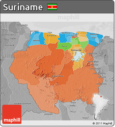 Political 3D Map of Suriname, desaturated