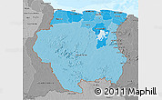 Political Shades 3D Map of Suriname, desaturated, land only