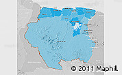 Political Shades 3D Map of Suriname, lighten, desaturated