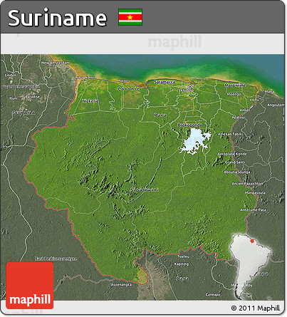Satellite 3D Map of Suriname, semi-desaturated, land only