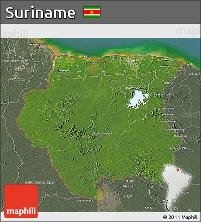 Satellite 3D Map of Suriname, semi-desaturated, land only