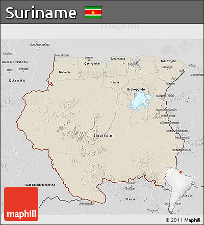 Shaded Relief 3D Map of Suriname, desaturated