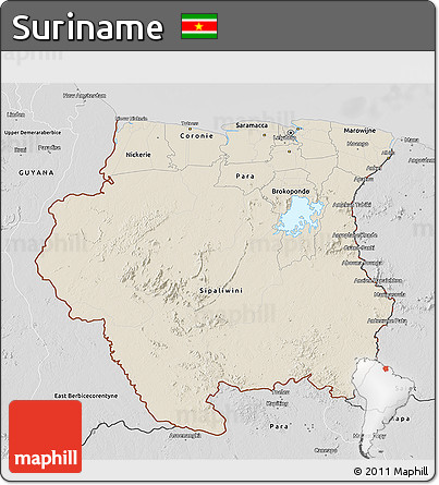 Shaded Relief 3D Map of Suriname, desaturated