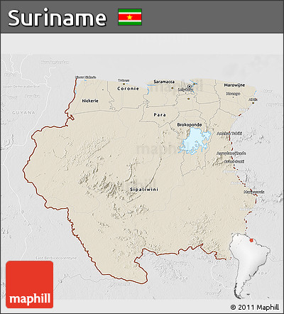 Shaded Relief 3D Map of Suriname, lighten, desaturated