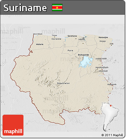 Shaded Relief 3D Map of Suriname, lighten, desaturated