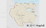 Shaded Relief 3D Map of Suriname, lighten, desaturated, land only