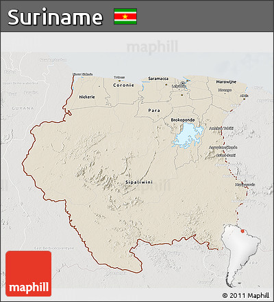 Shaded Relief 3D Map of Suriname, lighten, semi-desaturated