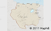 Shaded Relief 3D Map of Suriname, lighten, semi-desaturated, land only