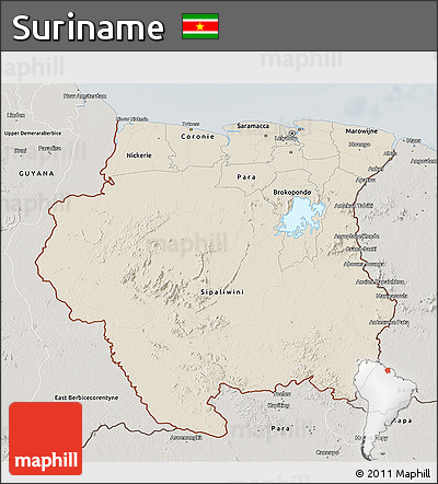 Shaded Relief 3D Map of Suriname, semi-desaturated