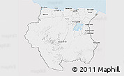 Silver Style 3D Map of Suriname, single color outside
