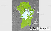 Physical 3D Map of Brokopondo, desaturated