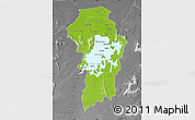 Physical Map of Brokopondo, desaturated