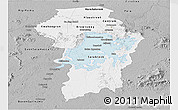 Gray Panoramic Map of Brokopondo