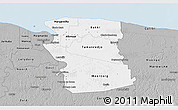 Gray 3D Map of Commewijne