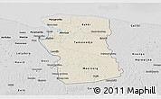 Shaded Relief 3D Map of Commewijne, desaturated