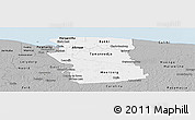 Gray Panoramic Map of Commewijne