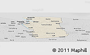 Shaded Relief Panoramic Map of Commewijne, desaturated