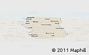 Shaded Relief Panoramic Map of Commewijne, lighten