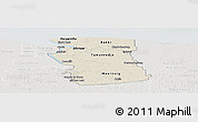 Shaded Relief Panoramic Map of Commewijne, lighten, semi-desaturated