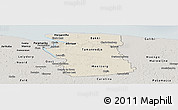 Shaded Relief Panoramic Map of Commewijne, semi-desaturated