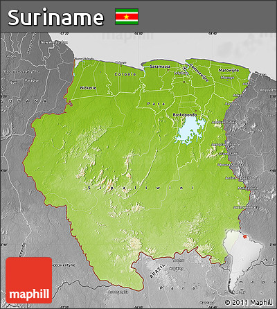Physical Map of Suriname, desaturated