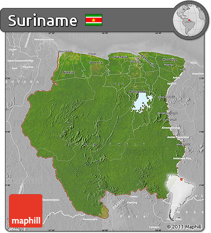 Satellite Map of Suriname, lighten, desaturated
