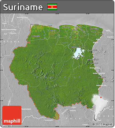 Satellite Map of Suriname, lighten, desaturated