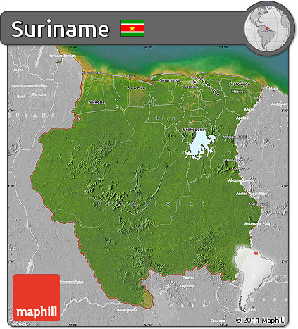 Satellite Map of Suriname, lighten, desaturated, land only