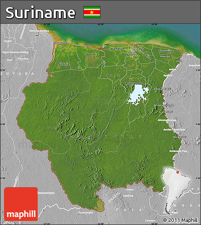 Satellite Map of Suriname, lighten, desaturated, land only