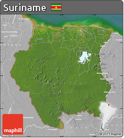 Satellite Map of Suriname, lighten, desaturated, land only