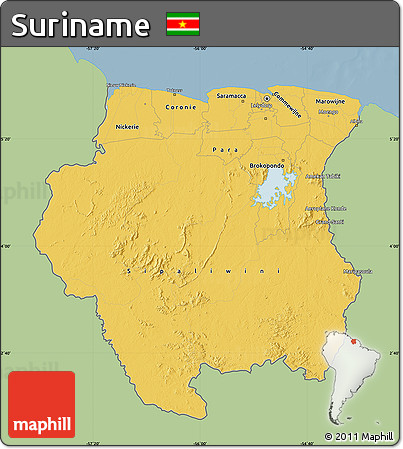 Savanna Style Map of Suriname, single color outside